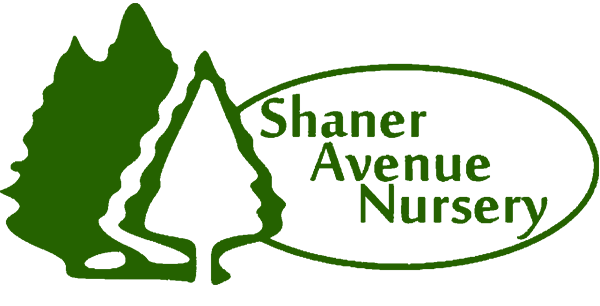 Rockford Michigan Landscape Nursery